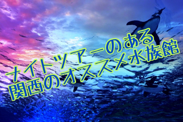 ナイトツアーのある関西のオススメ水族館2選 デート 子連れに大人気 19年夏 ヒロブログ